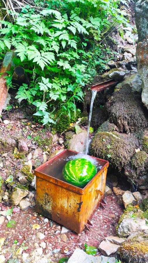 Penzion Privatni Smjestaj "Mratinje" Plužine Exteriér fotografie