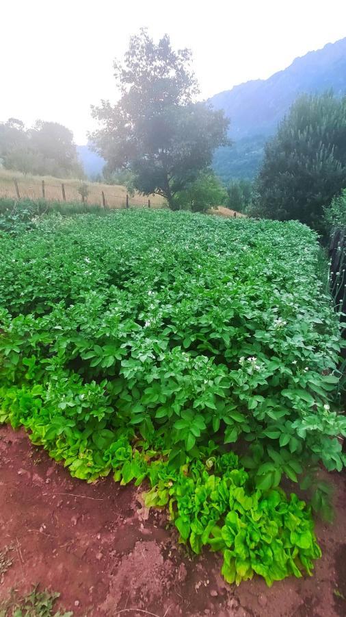 Penzion Privatni Smjestaj "Mratinje" Plužine Exteriér fotografie